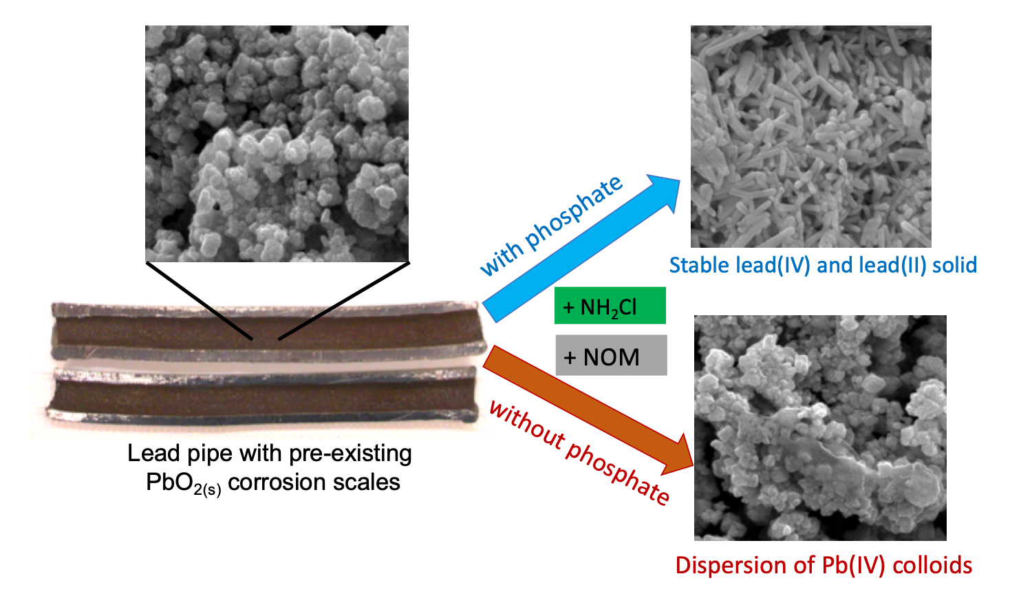 Lead corrosion chemistry is published in ESWR&T. Liu Research Group